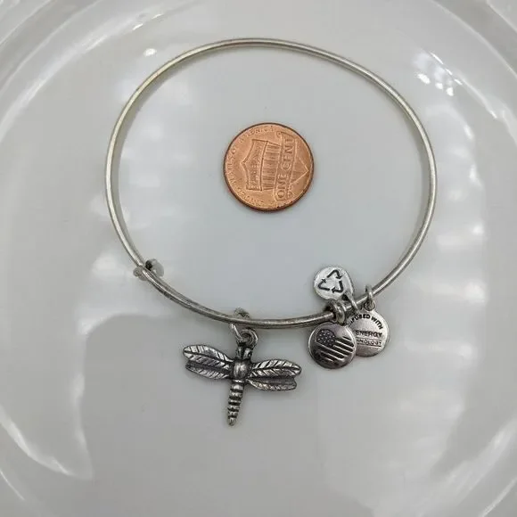 Alex and Ani Rafaleian Silver Dragonfly Bracelet - Picture 2 of 6